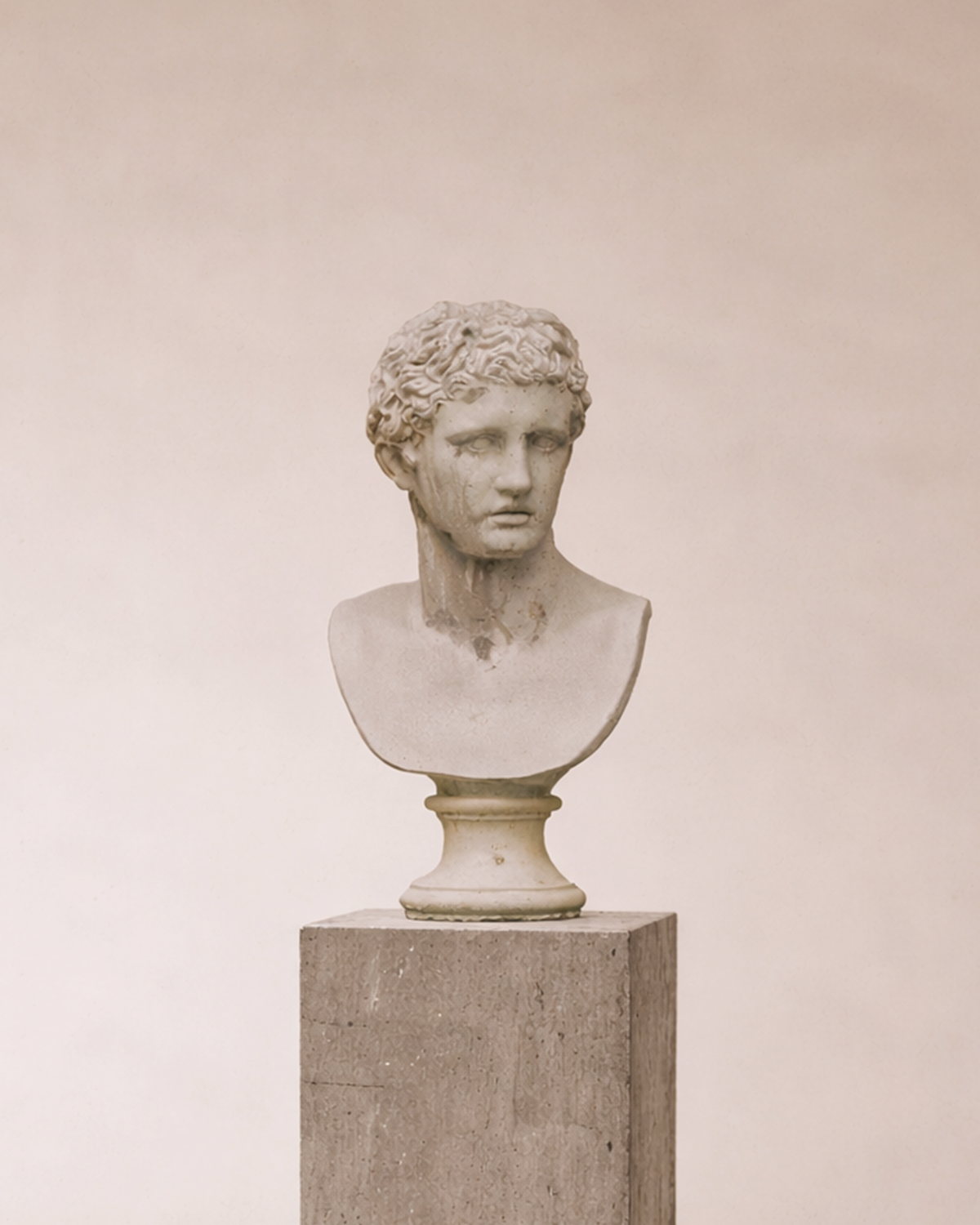 Classical Torso Bust on Plinth