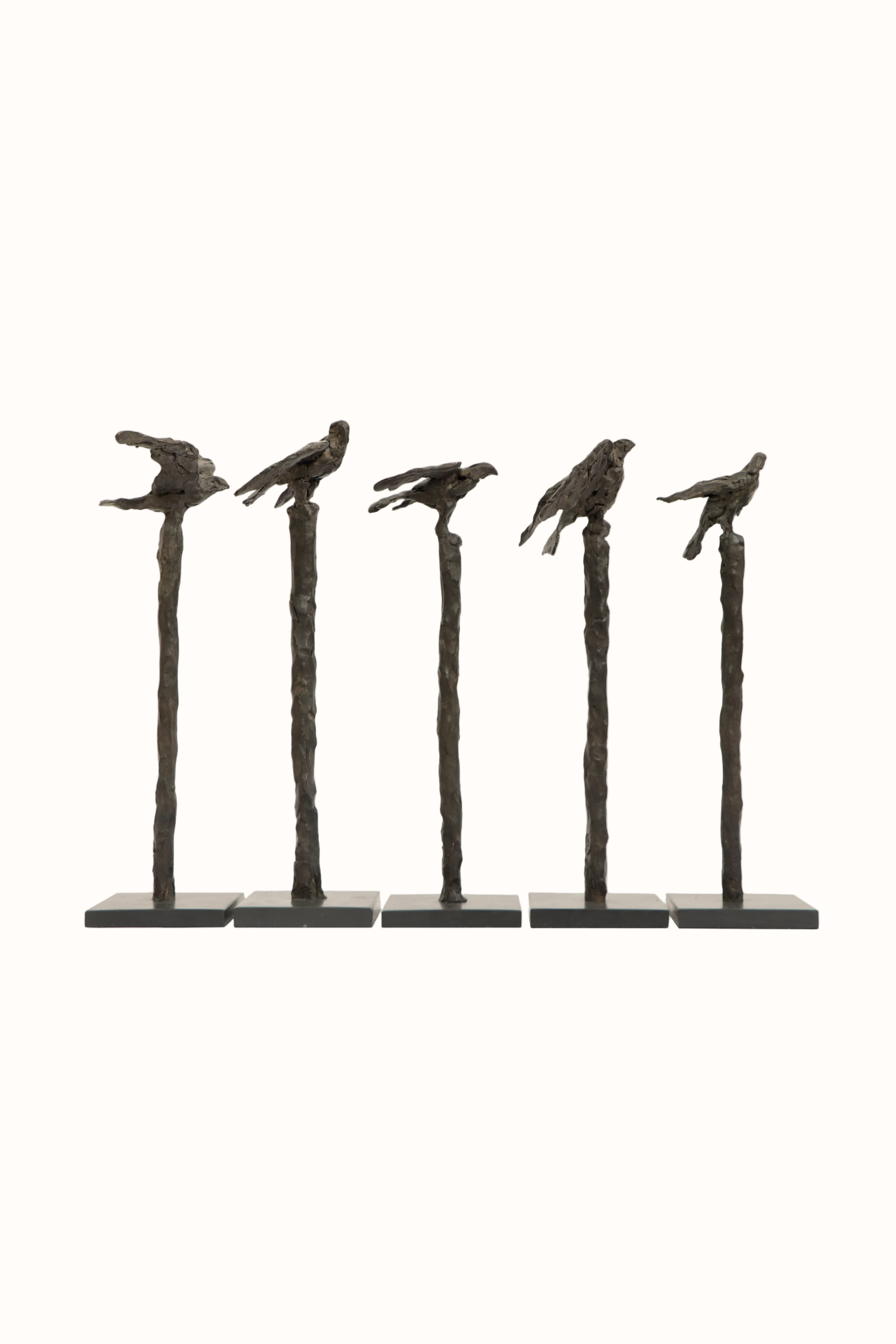 Falcon I-V - David William Ellis