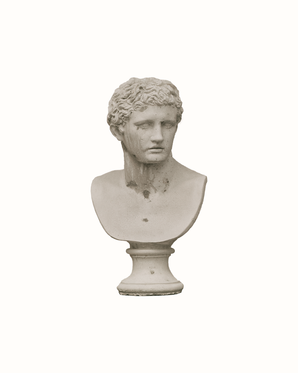 Classical Torso Bust on Plinth