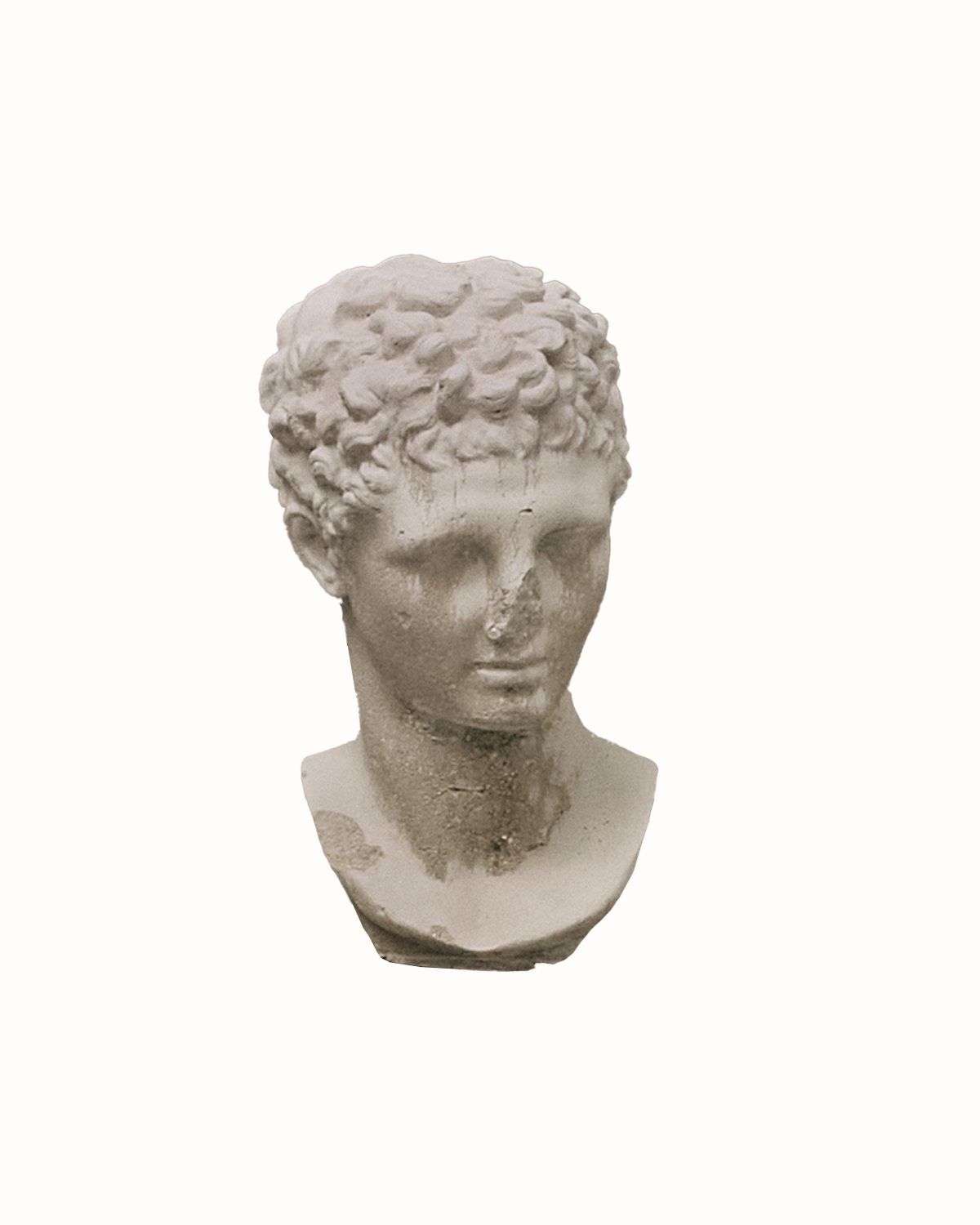 Dark Patinated Bust on Base