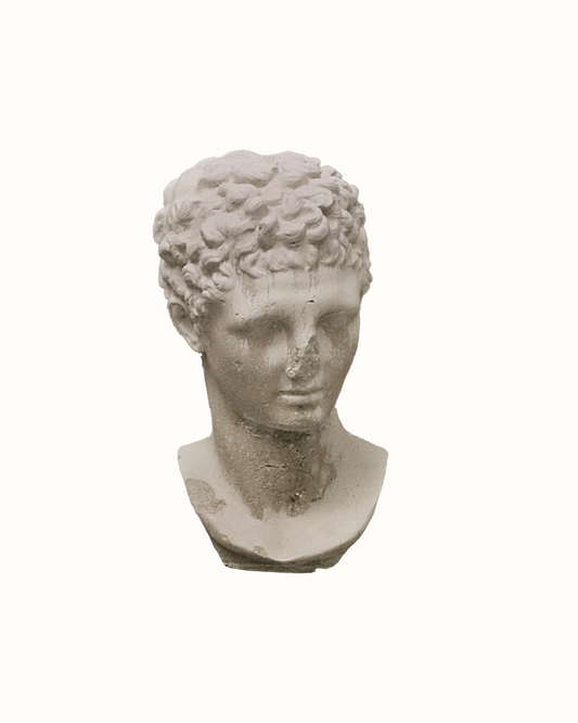 Dark Patinated Bust on Base