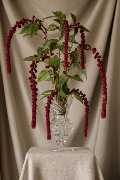 Elegant Glass Bud Vase