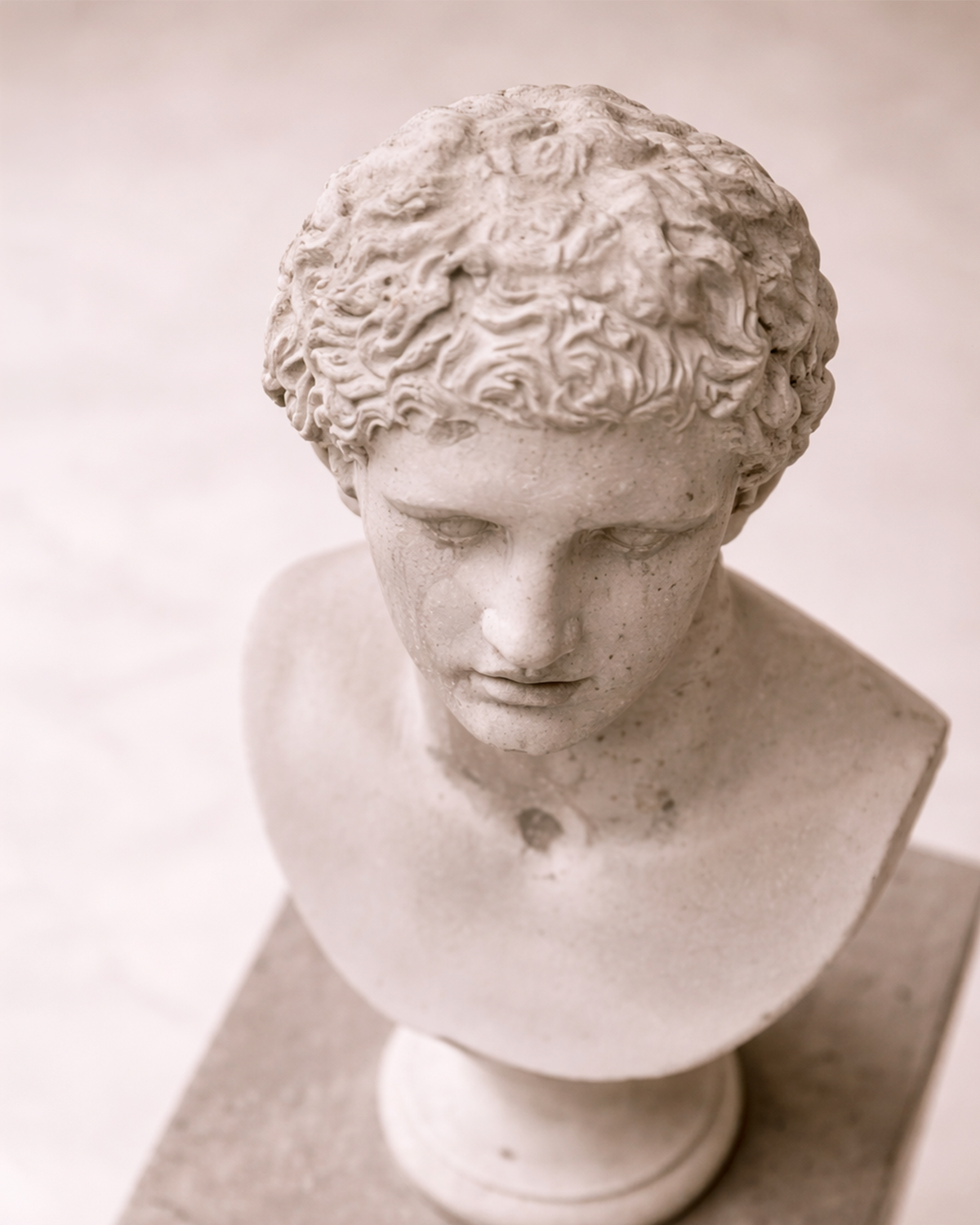 Classical Torso Bust on Plinth